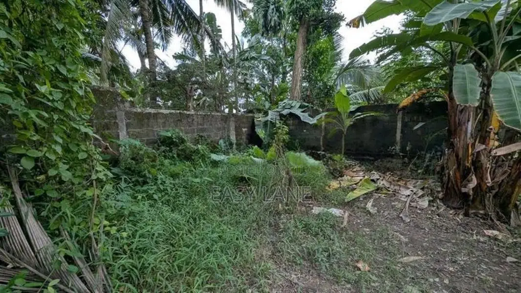 ගම්පහ – ඉඳිගොල්ලෙන් වටිනා බිම් කොටසක් විකිණීමට / KM 13828