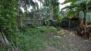 ගම්පහ – ඉඳිගොල්ලෙන් වටිනා බිම් කොටසක් විකිණීමට / KM 13828