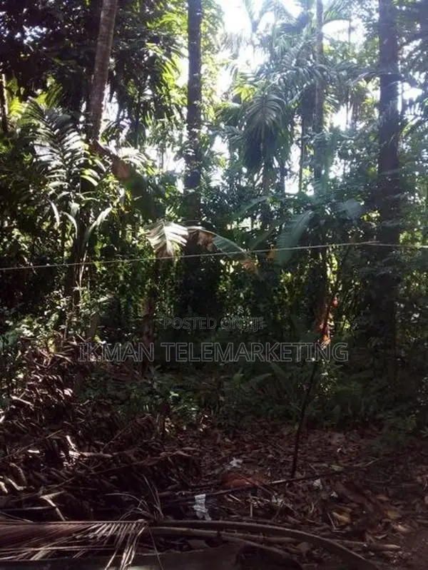 Land for Sale in Eheliyagoda