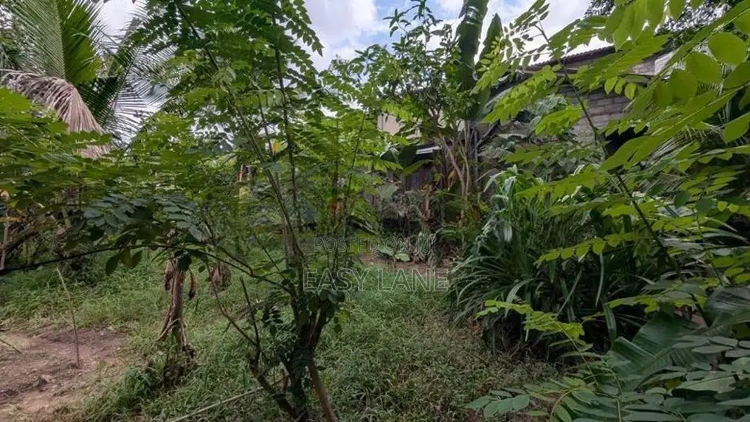 ගම්පහ – ඉඳිගොල්ලෙන් වටිනා බිම් කොටසක් විකිණීමට / KM 13828