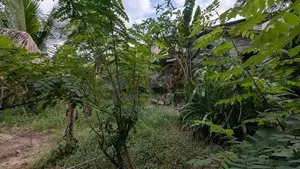 ගම්පහ – ඉඳිගොල්ලෙන් වටිනා බිම් කොටසක් විකිණීමට / KM 13828
