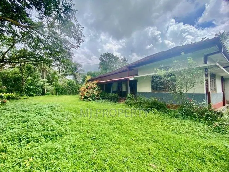 ( TC-1092) Valuable Single Storey House Rent in Padukka