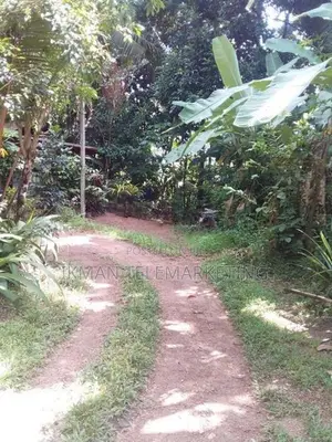 Land for Sale in Eheliyagoda