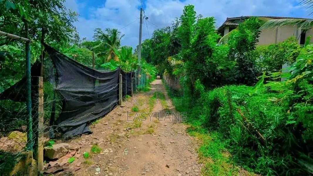 ගම්පහ – ඉඳිගොල්ලෙන් වටිනා බිම් කොටසක් විකිණීමට / KM 13828