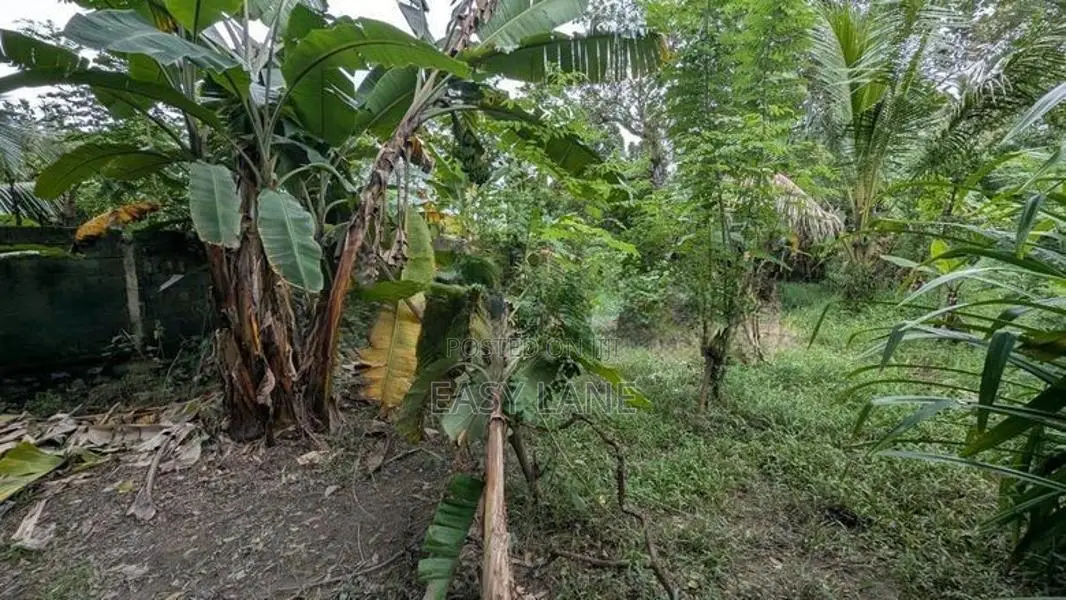 ගම්පහ – ඉඳිගොල්ලෙන් වටිනා බිම් කොටසක් විකිණීමට / KM 13828