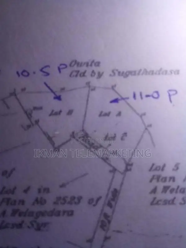 Land for Sale in Eheliyagoda