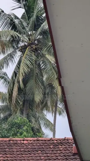 ඉබ්බාගමුව නගරයට බිම් කොටස්
