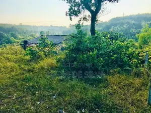 20 Perch Land for Sale in Kalutara