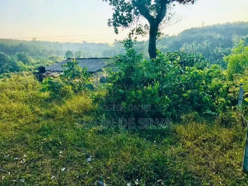 20 Perch Land for Sale in Kalutara