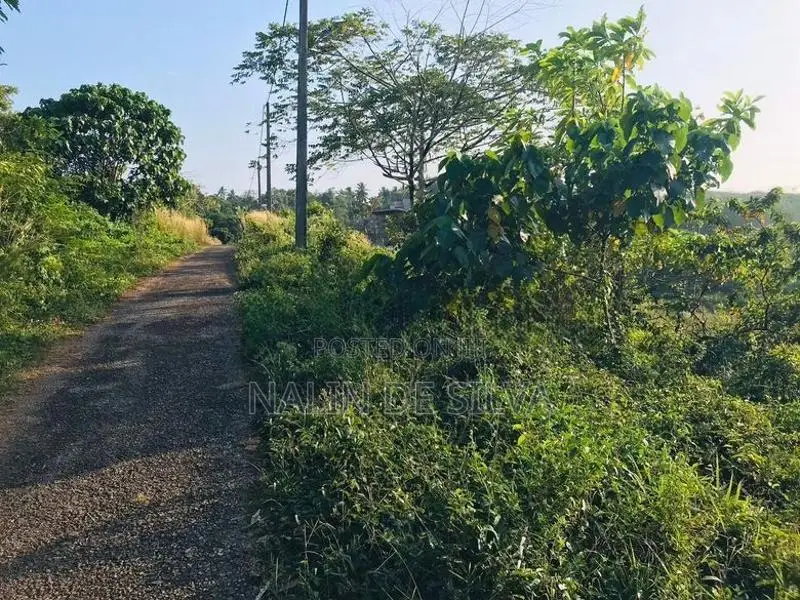 20 Perch Land for Sale in Kalutara