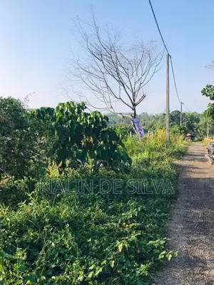 20 Perch Land for Sale in Kalutara