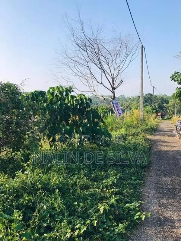 20 Perch Land for Sale in Kalutara