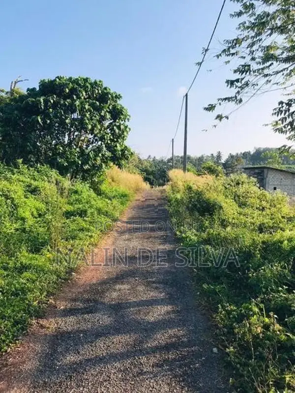 20 Perch Land for Sale in Kalutara