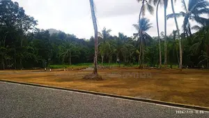 Land For Sale In Meepe