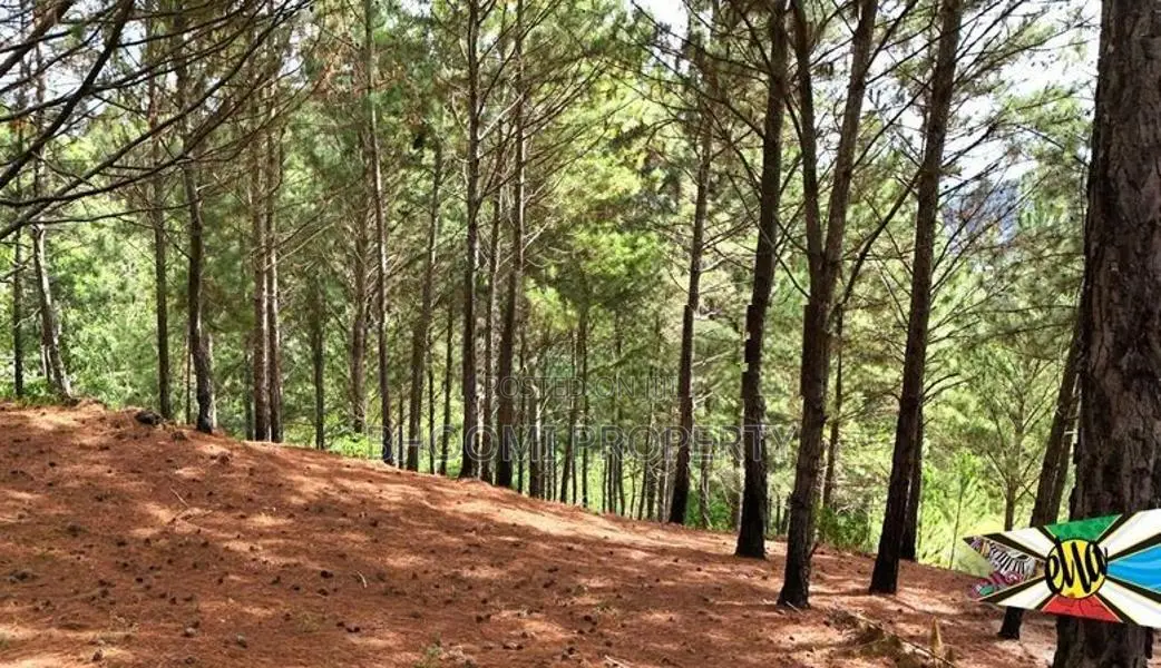 Land for sale in Ella