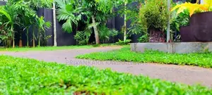 18 Perches - Fully Furnished Luxury House in Nittambuwa