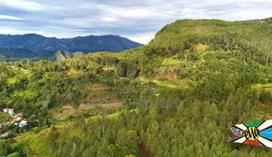 Land for sale in Ella