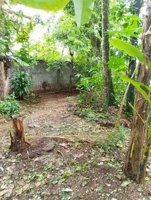 COMMERCIAL LAND FOR RENT IN KELANIYA (SP1268)