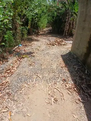 Land for Sale Buttala