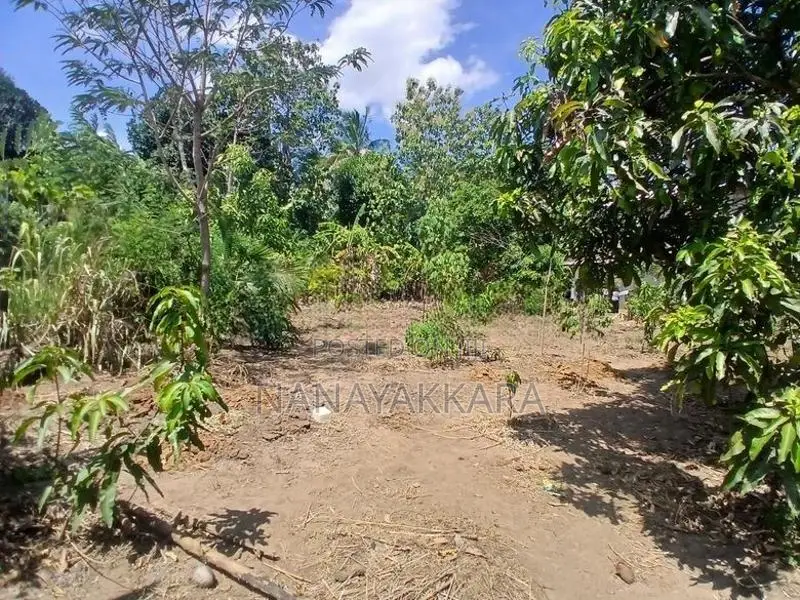 Land for Sale Buttala