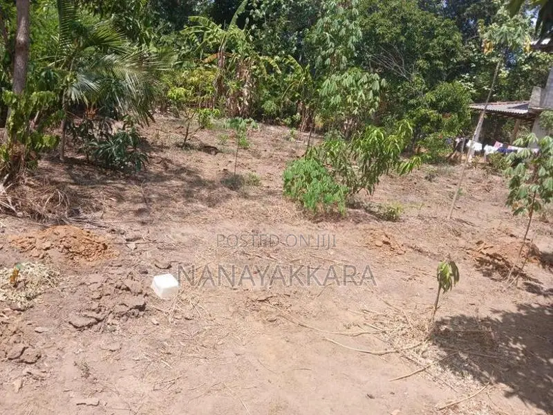 Land for Sale Buttala