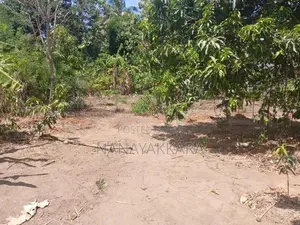 Land for Sale Buttala
