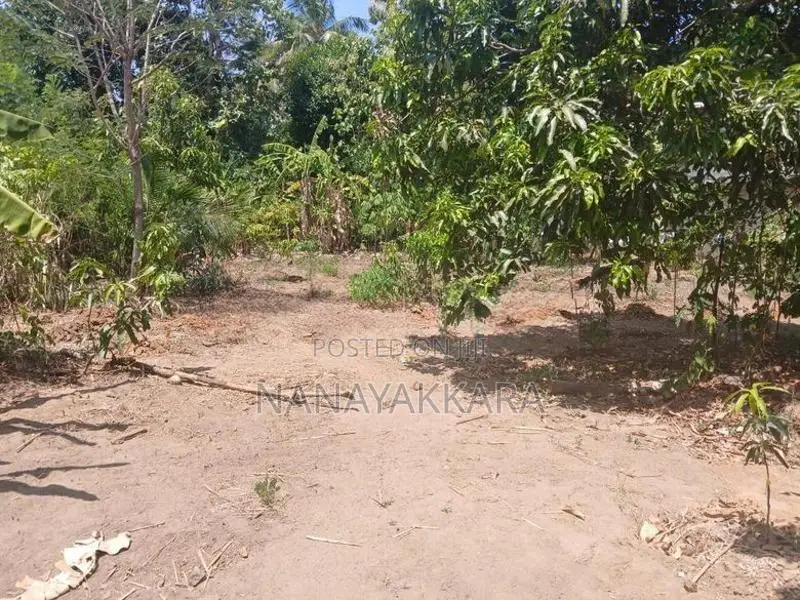 Land for Sale Buttala