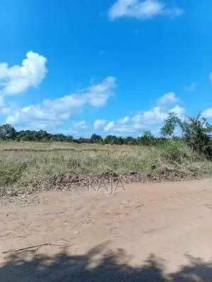 Land for Sale Kuchchaveli