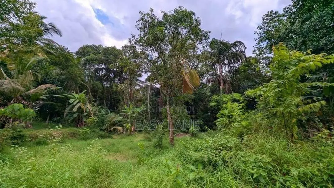 කඩවත වෑබඩින් වටිනා ඉඩමක් විකිණීමට / KM 11545