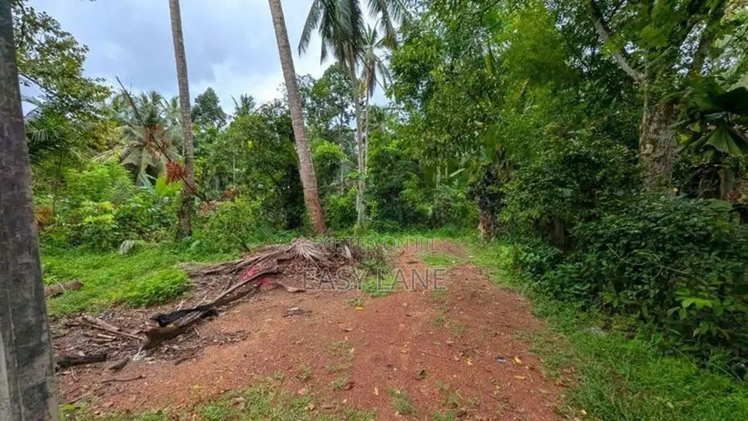 කඩවත වෑබඩින් වටිනා ඉඩමක් විකිණීමට / KM 11545