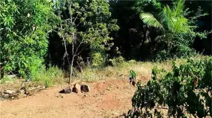 Land with House for Sale Trincomalee