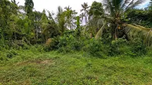 කඩවත වෑබඩින් වටිනා ඉඩමක් විකිණීමට / KM 11545