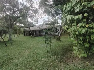 ඉඩමක් විකිනිමට කොටිටාව හයිලෙවල් මුහුනලා.