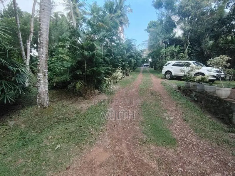 ඉඩමක් විකිනිමට කොටිටාව හයිලෙවල් මුහුනලා.
