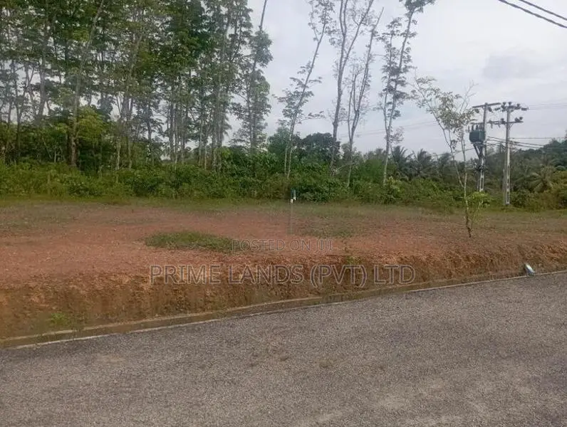 Land for Sale Near Thalagala