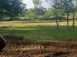 Land for Sale Kataragama