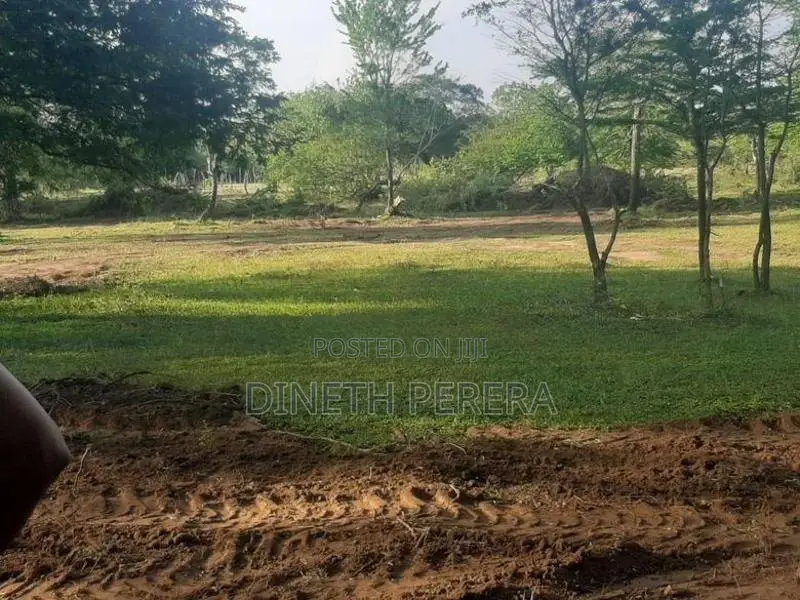 Land for Sale Kataragama
