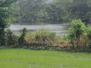 Land for Sale in Dambulla - දඹුල්ලෙන් ඉඩමක් විකිණීමට