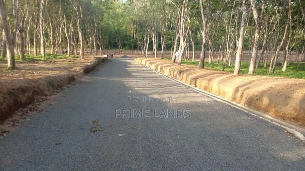 අහංගම සංචාරක කලාපයට ආසන්නව