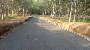 අහංගම සංචාරක කලාපයට ආසන්නව