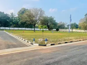 In Dambulla Town