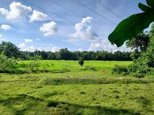 Veyangoda බස් පාරට මුහුනලා වෙල්යායකට මායිම් බිම් කොටස් / KM 14055