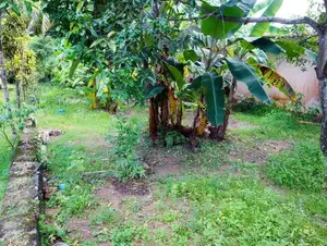 Residential Land for Sale in Maharagama
