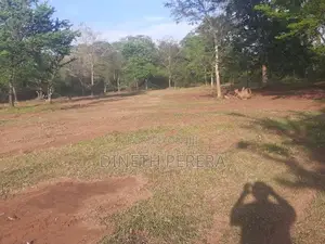 Land for Sale Kataragama