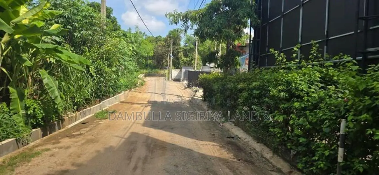 දඹුල්ලේ නගරයට ඉතාමත් සමීපයෙන් ඉඩමක් විකිණීමට - Land for Sale in Dambul