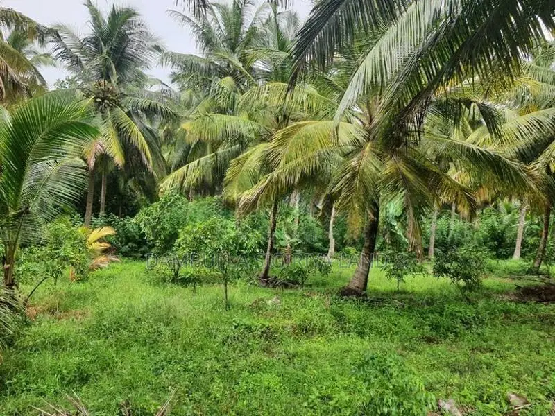 Land for Sale in Dambulla - දඹුල්ලෙන් ඉඩමක් විකිණීමට