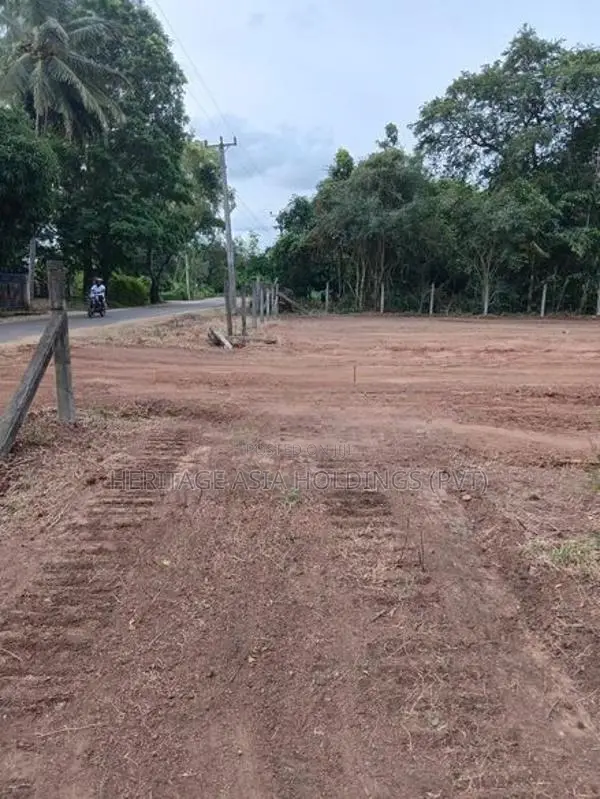 Land for Sale in Perimiyankulama