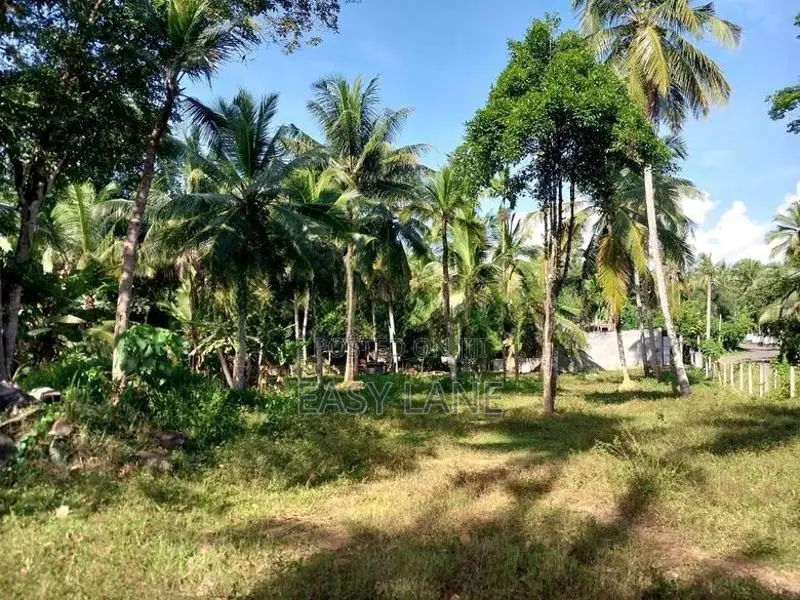 Veyangoda බස් පාරට මුහුනලා වෙල්යායකට මායිම් බිම් කොටස් / KM 14055