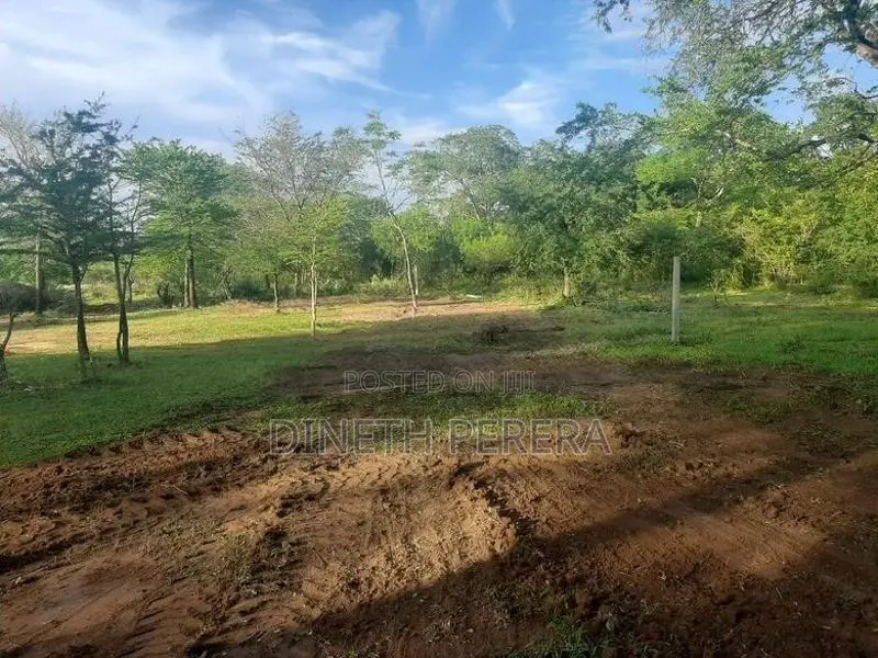 Land for Sale Kataragama