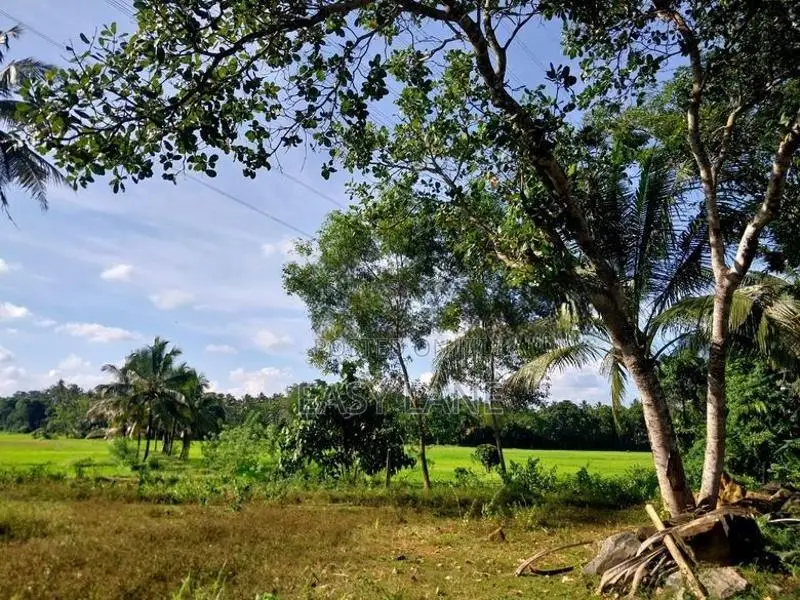 Veyangoda බස් පාරට මුහුනලා වෙල්යායකට මායිම් බිම් කොටස් / KM 14055